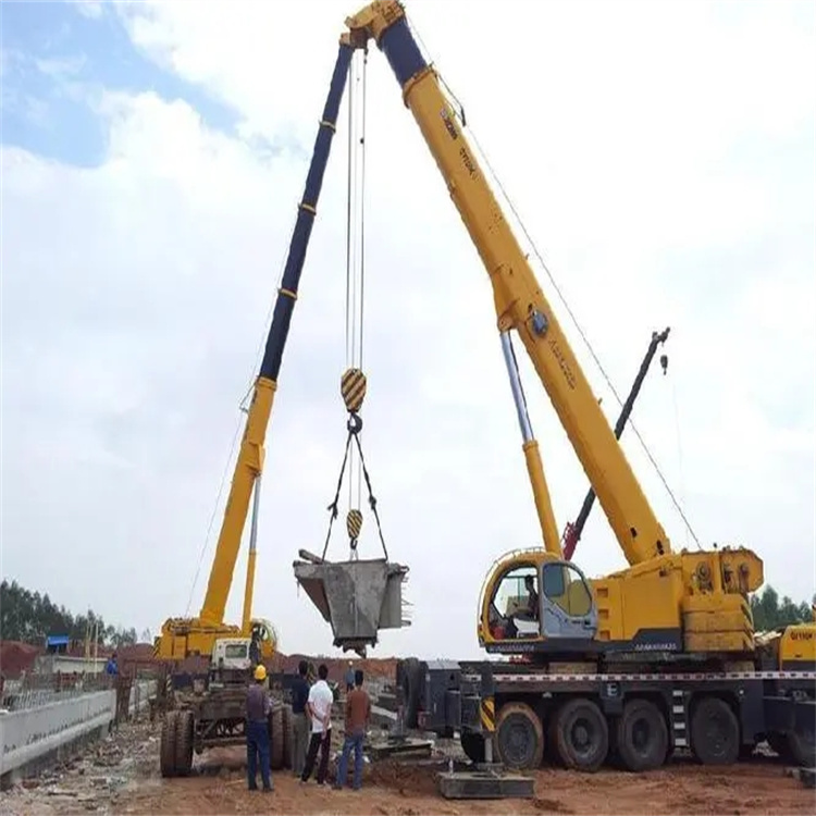 城步小型吊机出租电话|厂房设备吊装方案|24小时服务覆盖